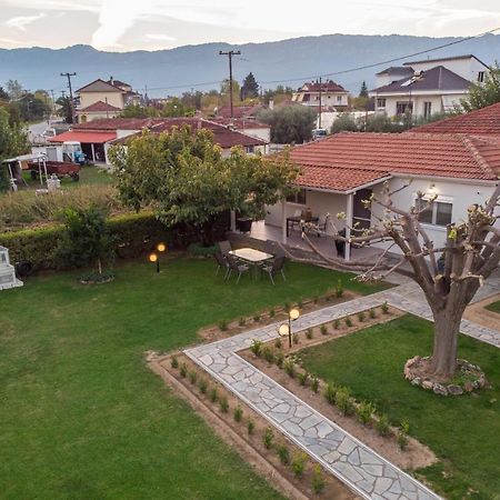 Willa Castellano Vasiliki Vasiliki  Zewnętrze zdjęcie